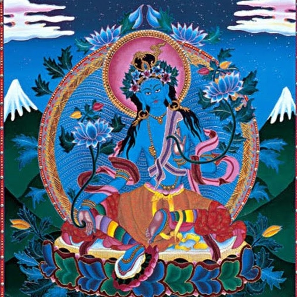 Meet your Posher, Skye